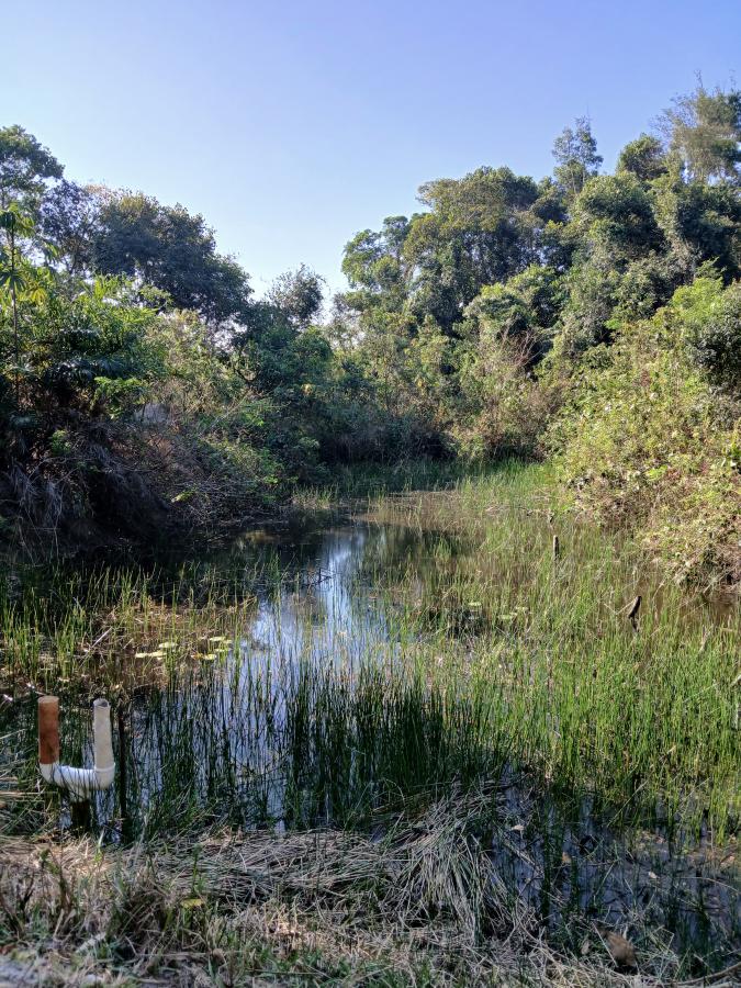 Fazenda à venda com 1 quarto, 96000m² - Foto 23