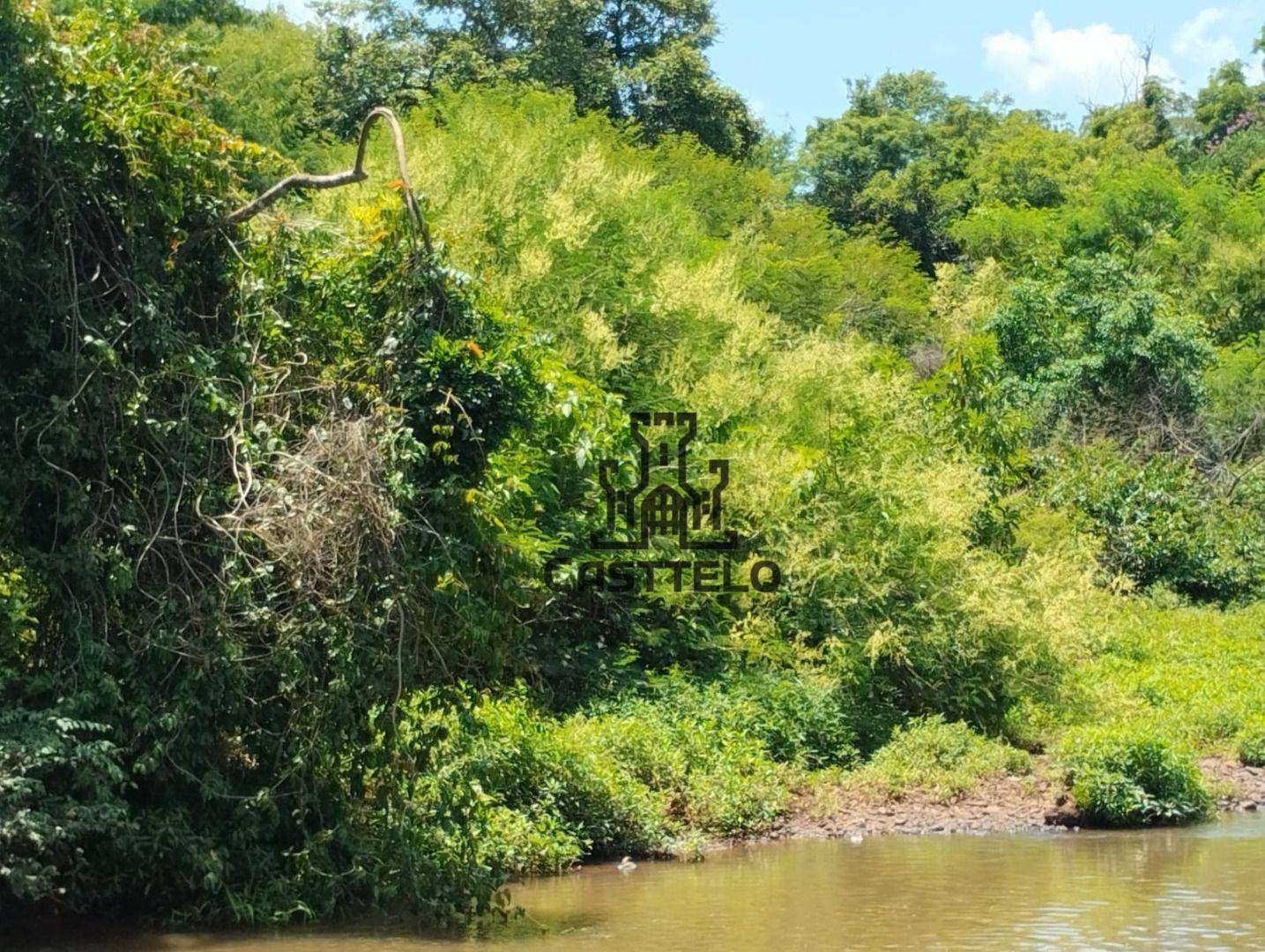 Chácara à venda com 3 quartos, 16720M2 - Foto 11