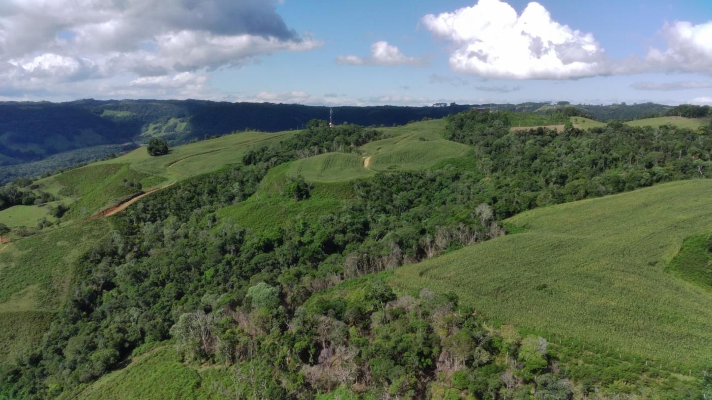 Fazenda à venda com 2 quartos, 925500m² - Foto 9