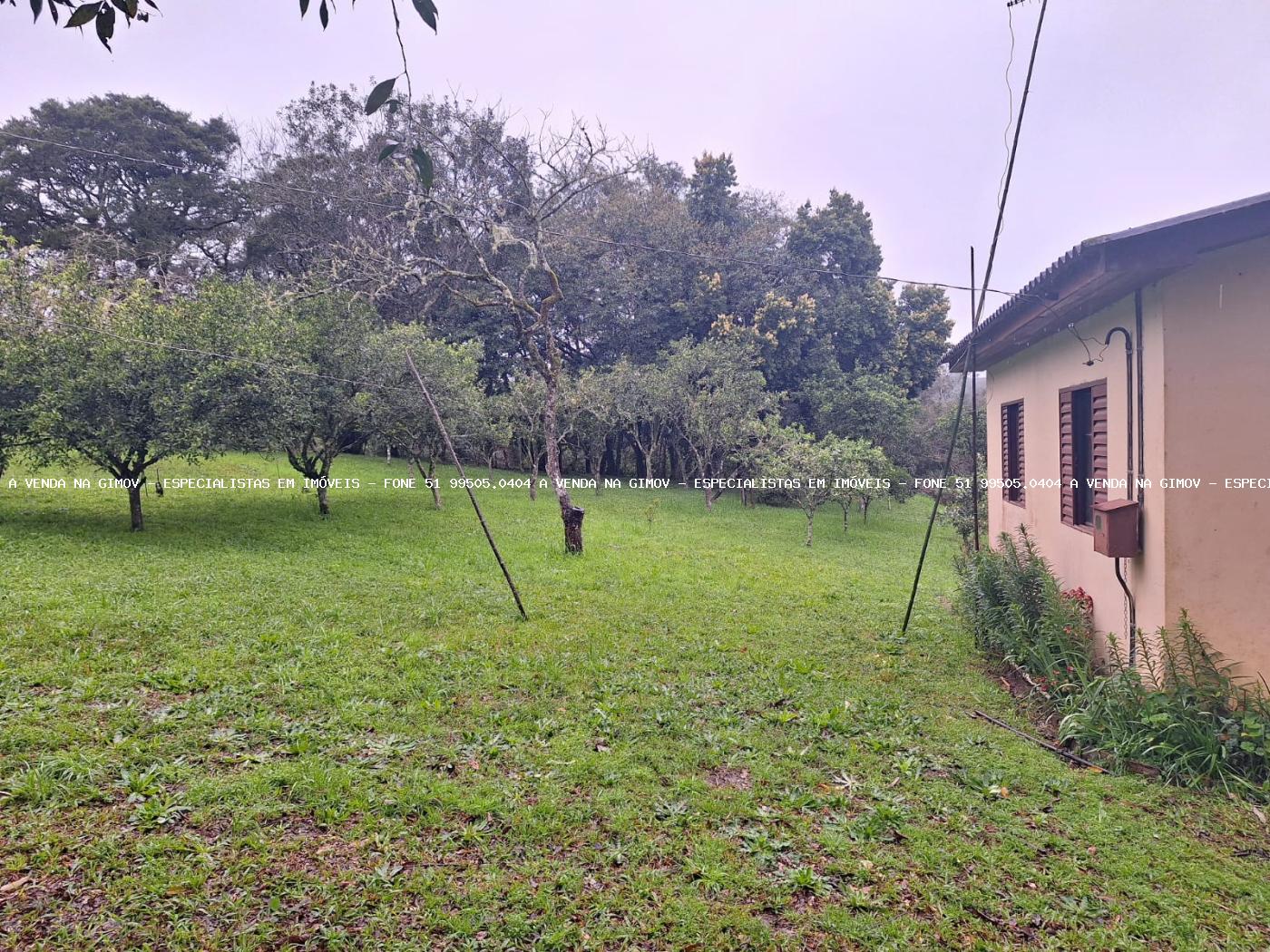 Fazenda à venda com 2 quartos, 141000m² - Foto 2