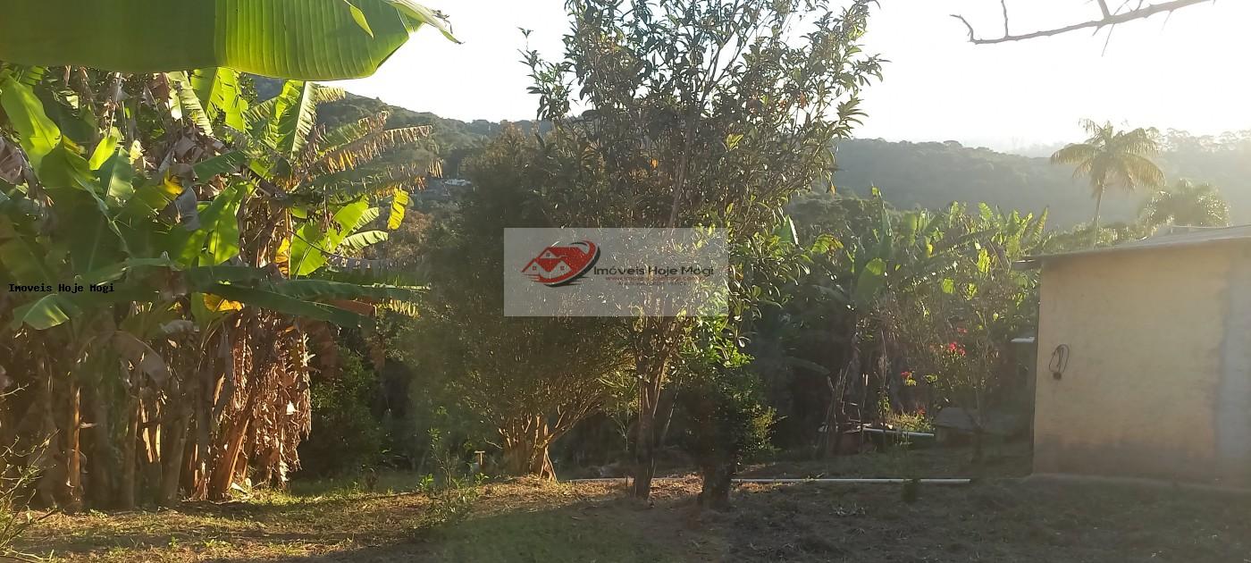 Chácara à venda com 2 quartos, 3000m² - Foto 6