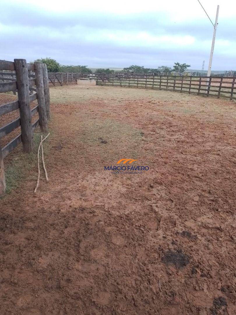 Fazenda, 1099 hectares - Foto 2