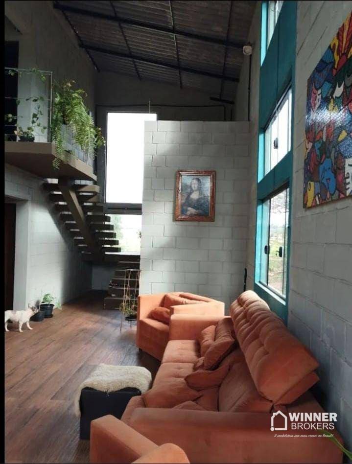 Chácara, 5 quartos, 4000 m² - Foto 3