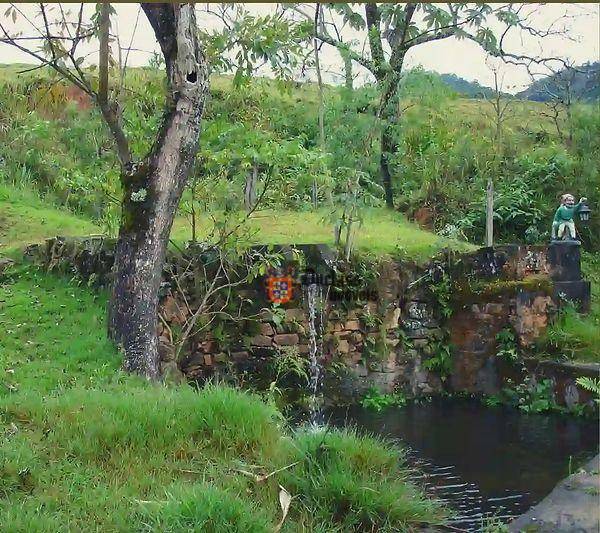 Fazenda à venda com 5 quartos, 1331000M2 - Foto 107