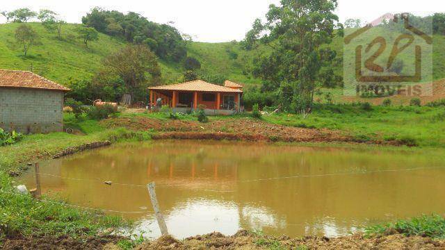 Sítio à venda com 2 quartos, 411400M2 - Foto 5