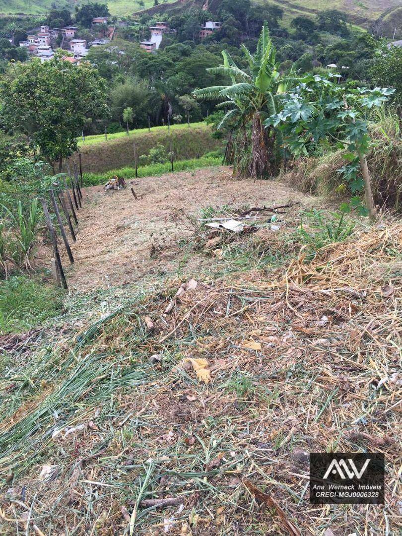 Loteamento e Condomínio à venda, 240M2 - Foto 3