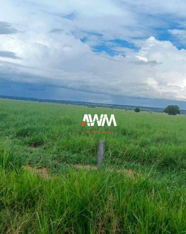 Fazenda, 1239 hectares - Foto 10