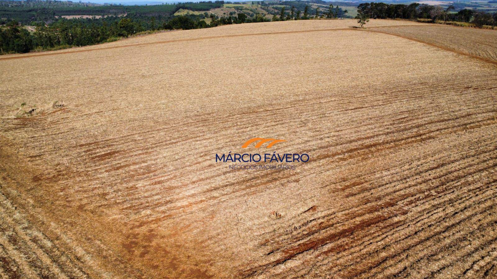 Fazenda, 78 hectares - Foto 4