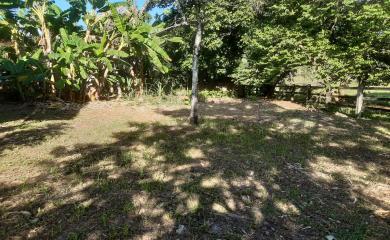Sítio à venda com 3 quartos, 3500m² - Foto 14