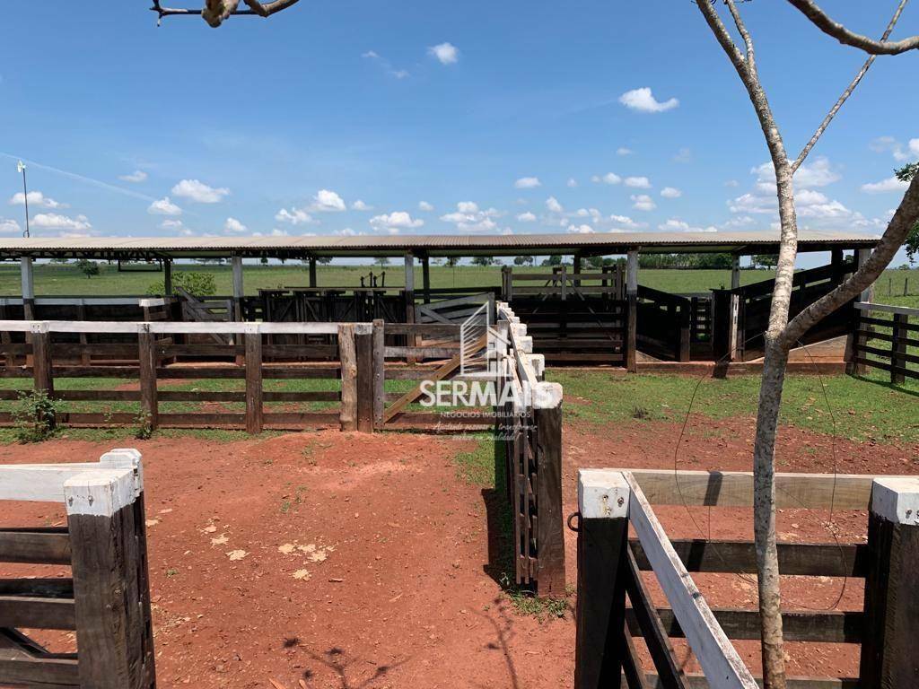 Fazenda à venda, 376M2 - Foto 3