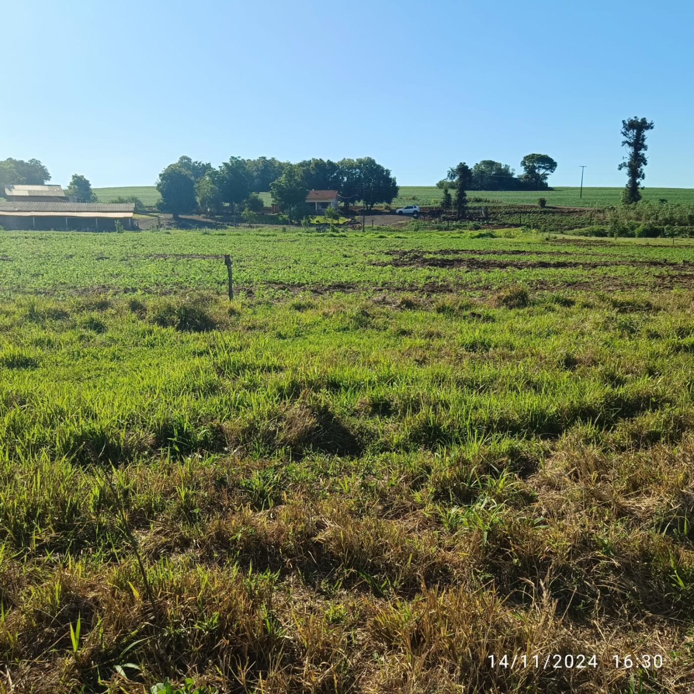 Fazenda à venda, 81160m² - Foto 24