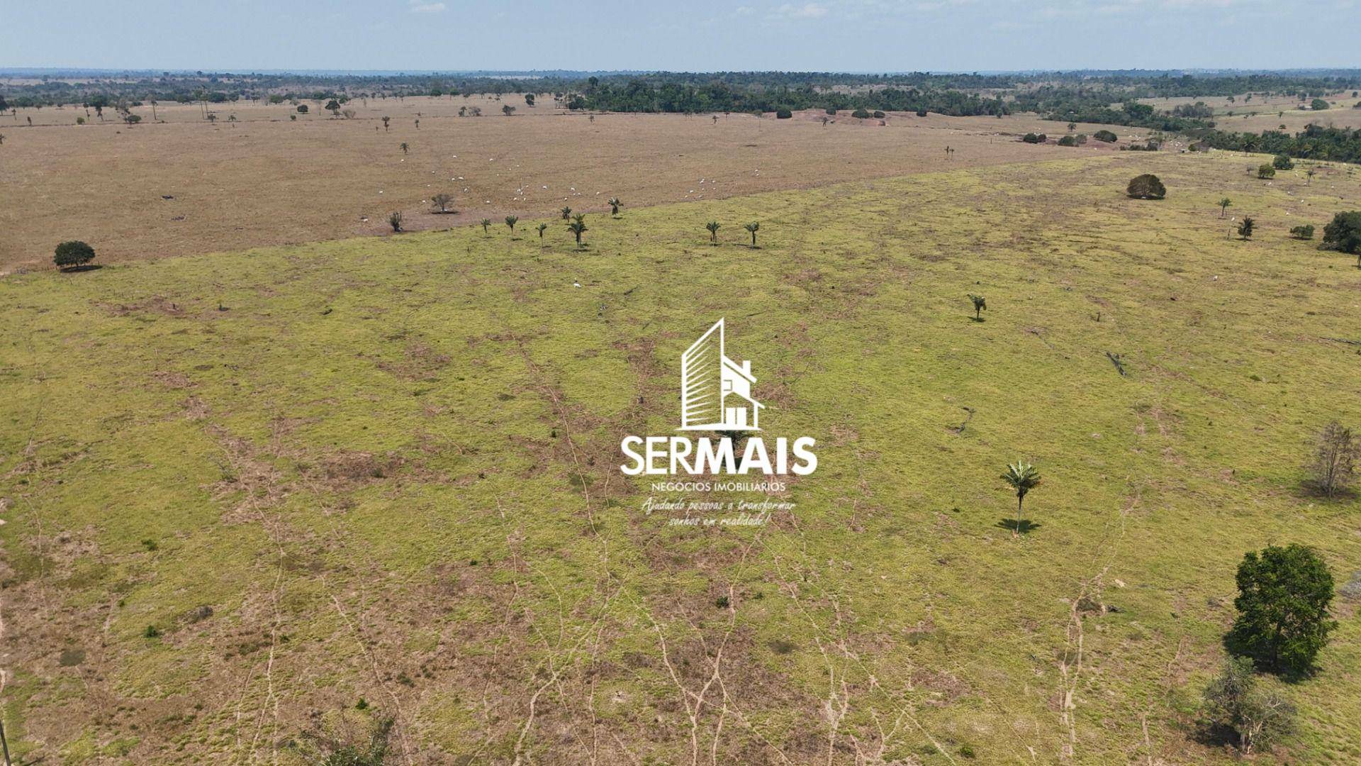 Fazenda-Sítio-Chácara, 670 hectares - Foto 5