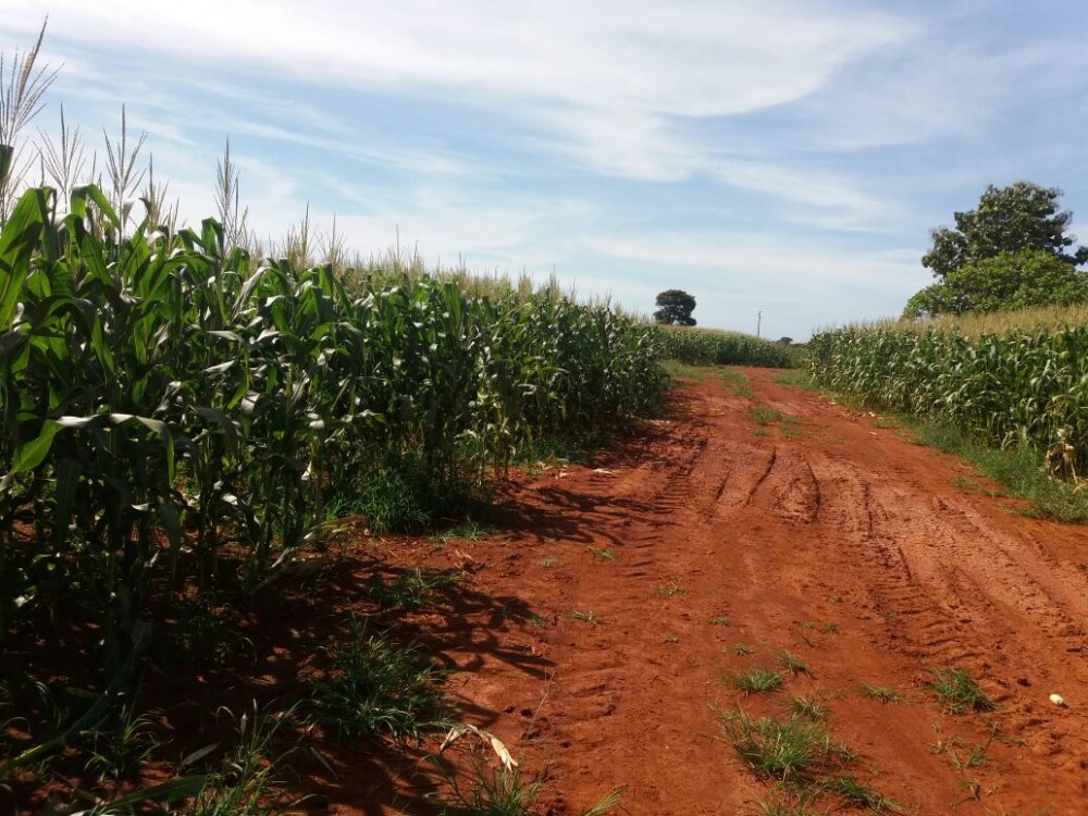 Fazenda à venda, 57000m² - Foto 4