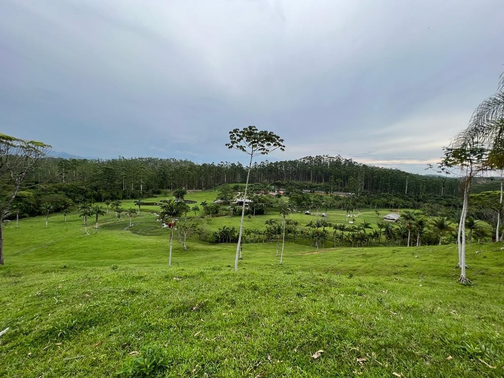 Fazenda à venda, 660000m² - Foto 7