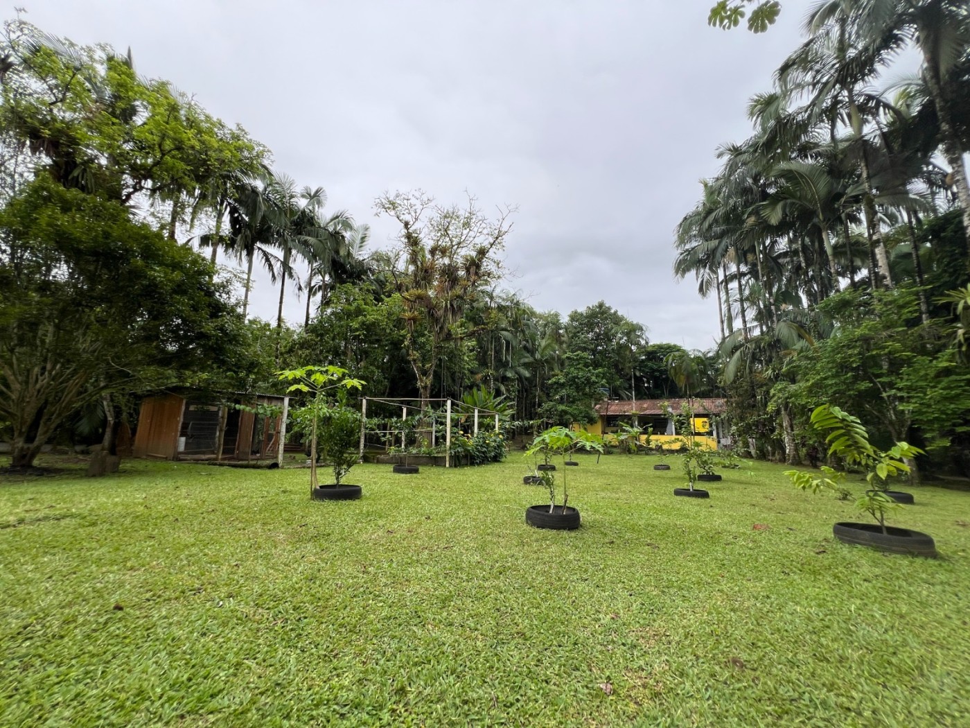 Chácara à venda, 22000m² - Foto 4