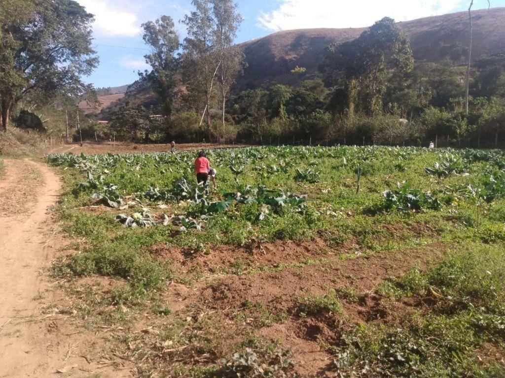 Terreno à venda, 2335M2 - Foto 12