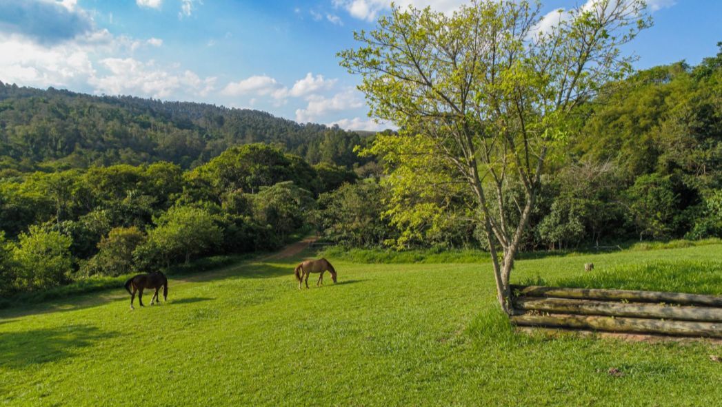 Loteamento e Condomínio à venda, 1000M2 - Foto 12