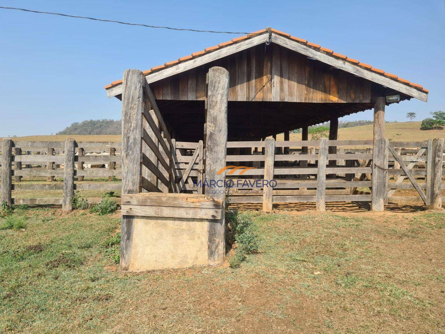 Fazenda à venda, 2299000M2 - Foto 13