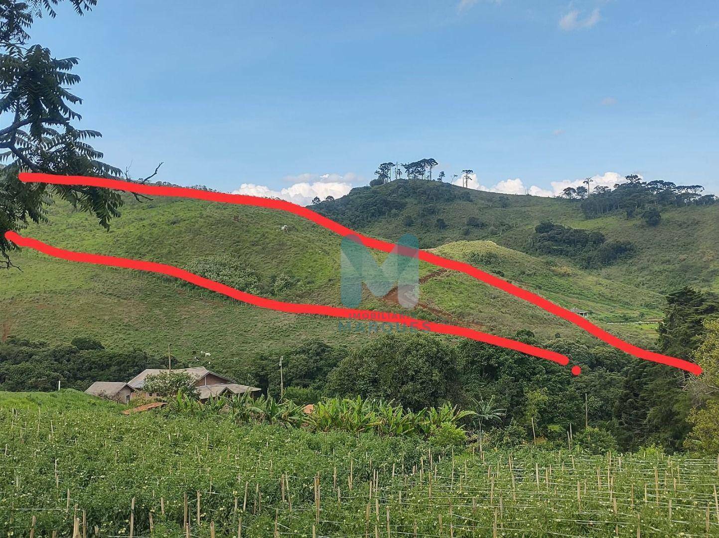 Terreno à venda, 86000M2 - Foto 2