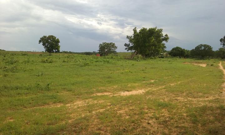 Fazenda-Sítio-Chácara - Foto 5