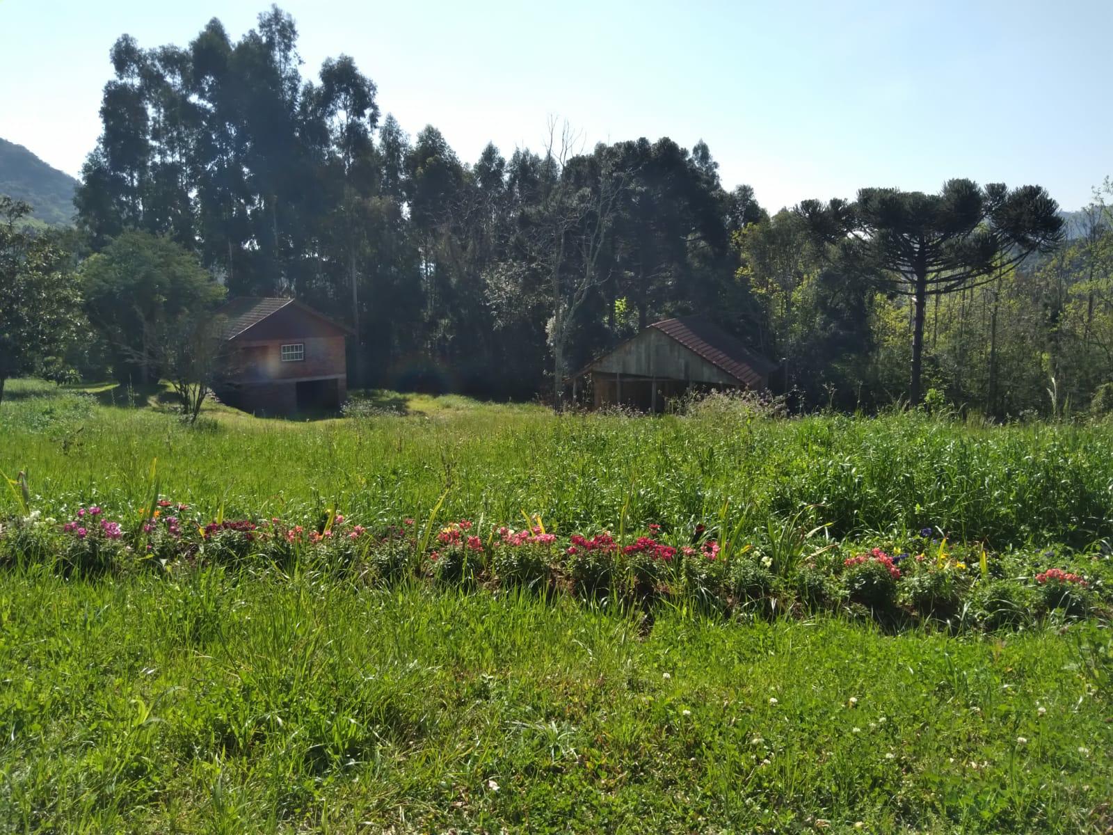 Sítio à venda com 1 quarto, 90m² - Foto 23