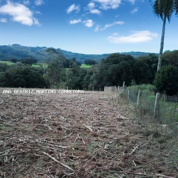 Fazenda à venda com 1 quarto, 50m² - Foto 4