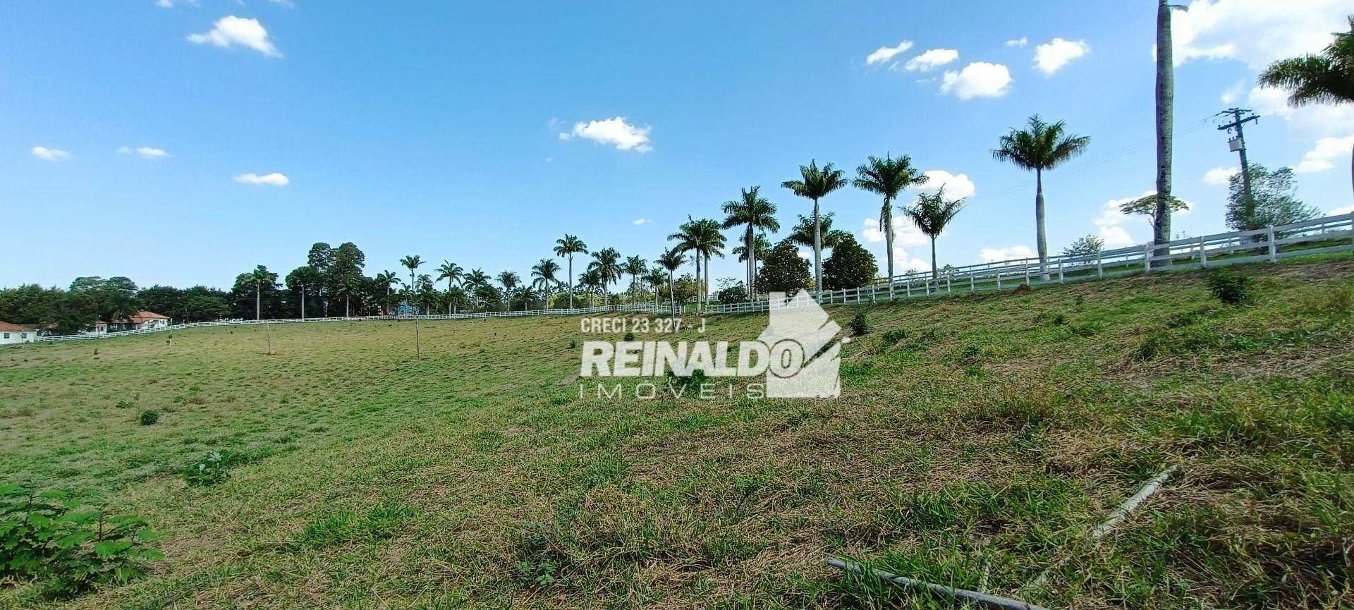 Haras e Área Rural Padrão à venda com 16 quartos, 2500m² - Foto 187