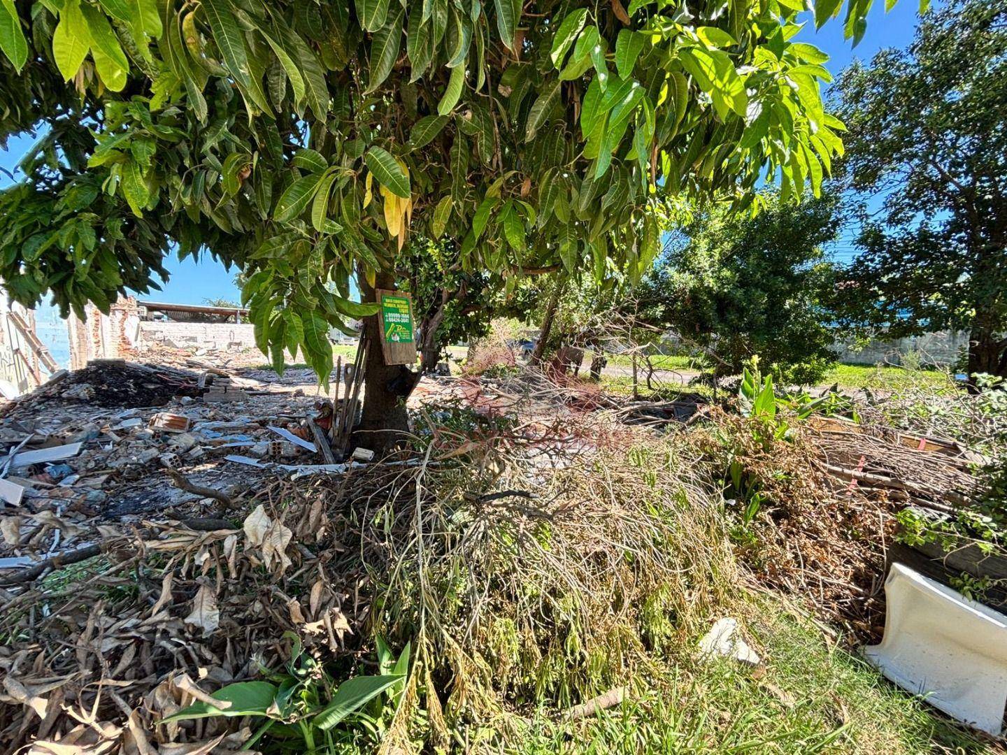 Terreno, 300 m² - Foto 2