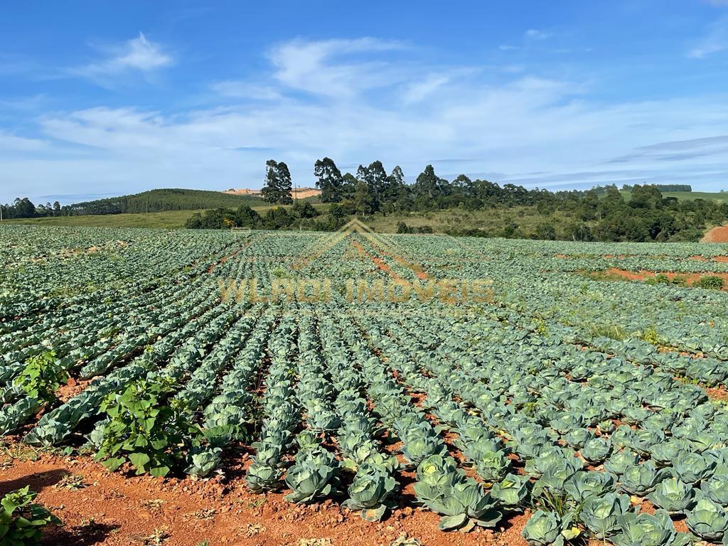 Fazenda à venda, 85m² - Foto 2