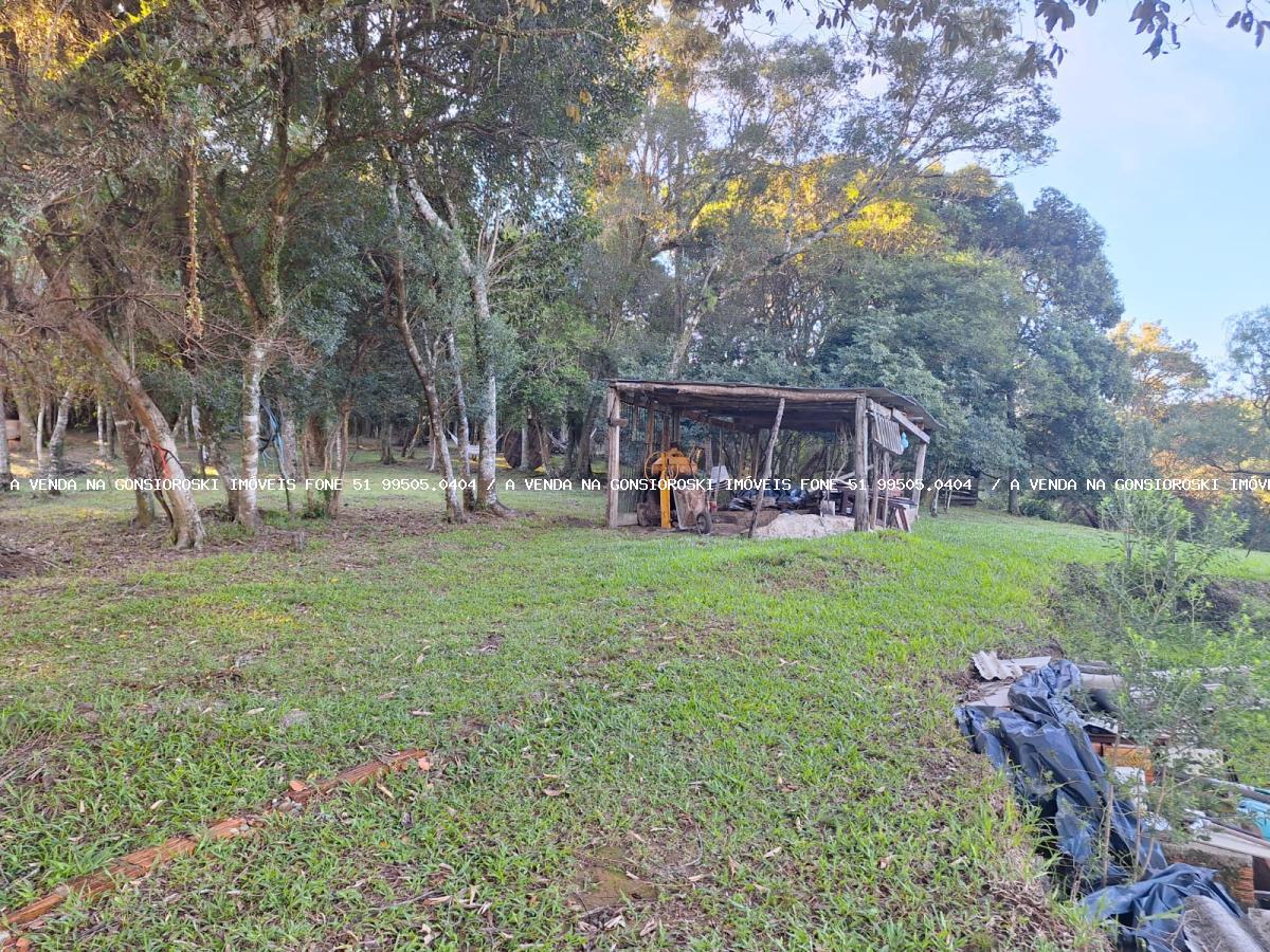 Fazenda à venda com 3 quartos, 6350m² - Foto 25