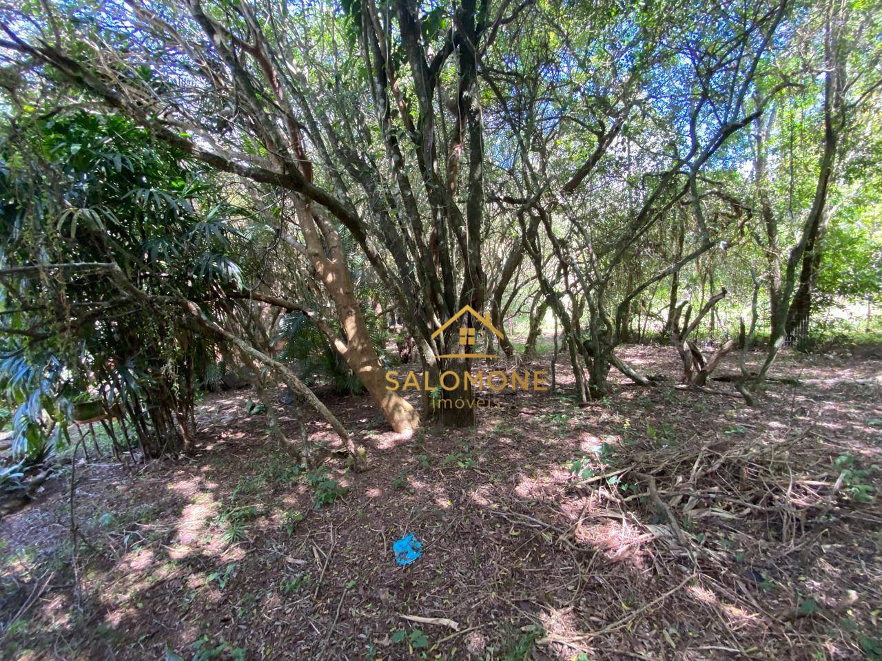 Sítio, 2 quartos, 2500 m² - Foto 5