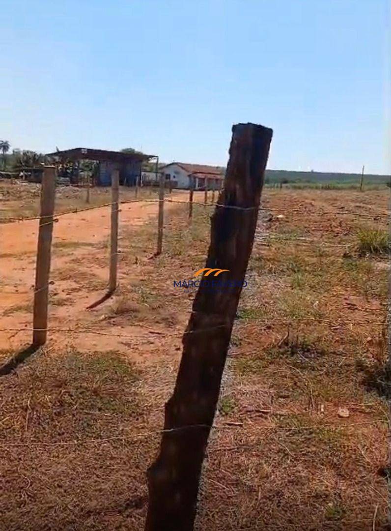 Sítio, 29 hectares - Foto 3