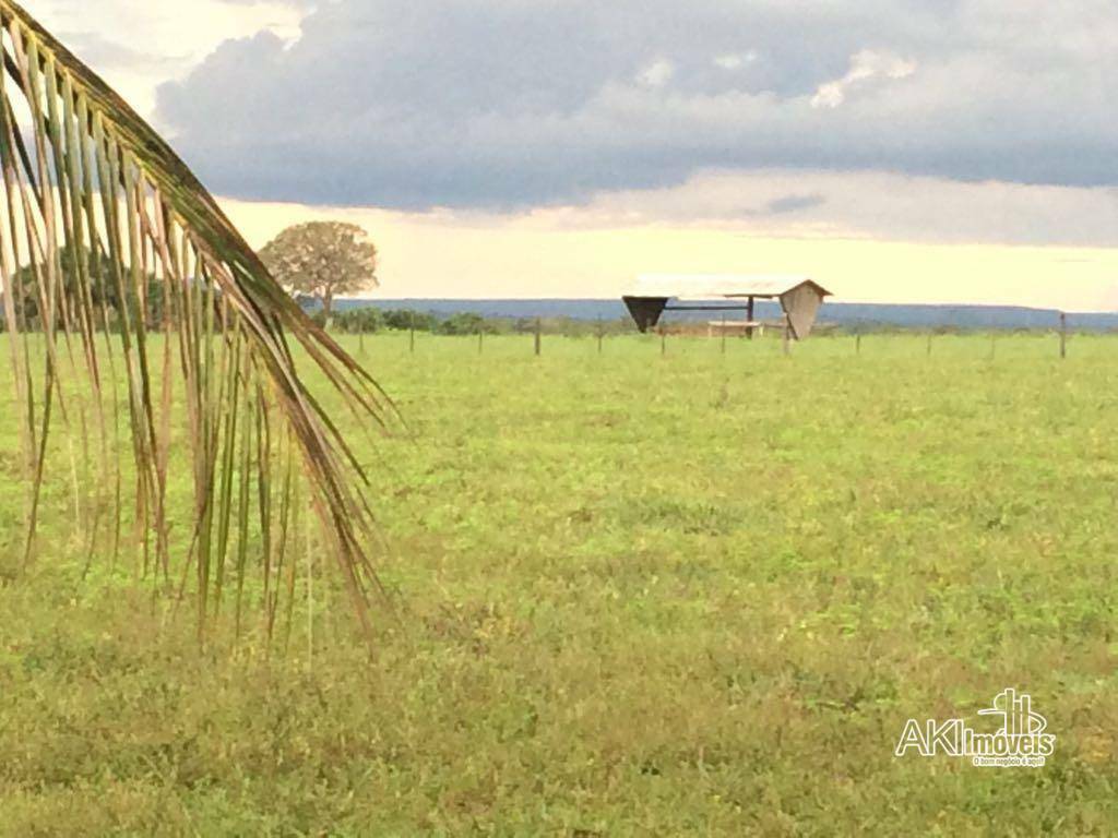 Fazenda à venda, 75000000M2 - Foto 2