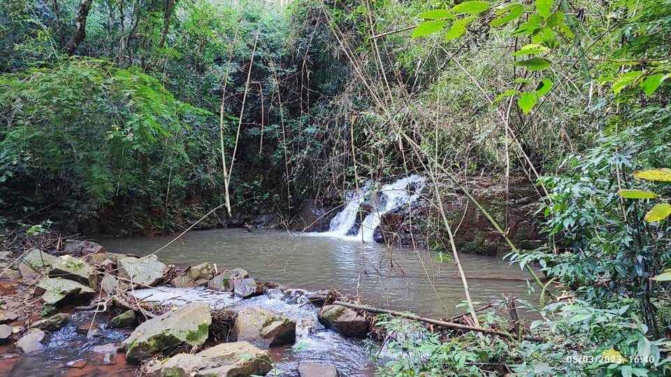 Fazenda à venda com 3 quartos, 17000m² - Foto 11