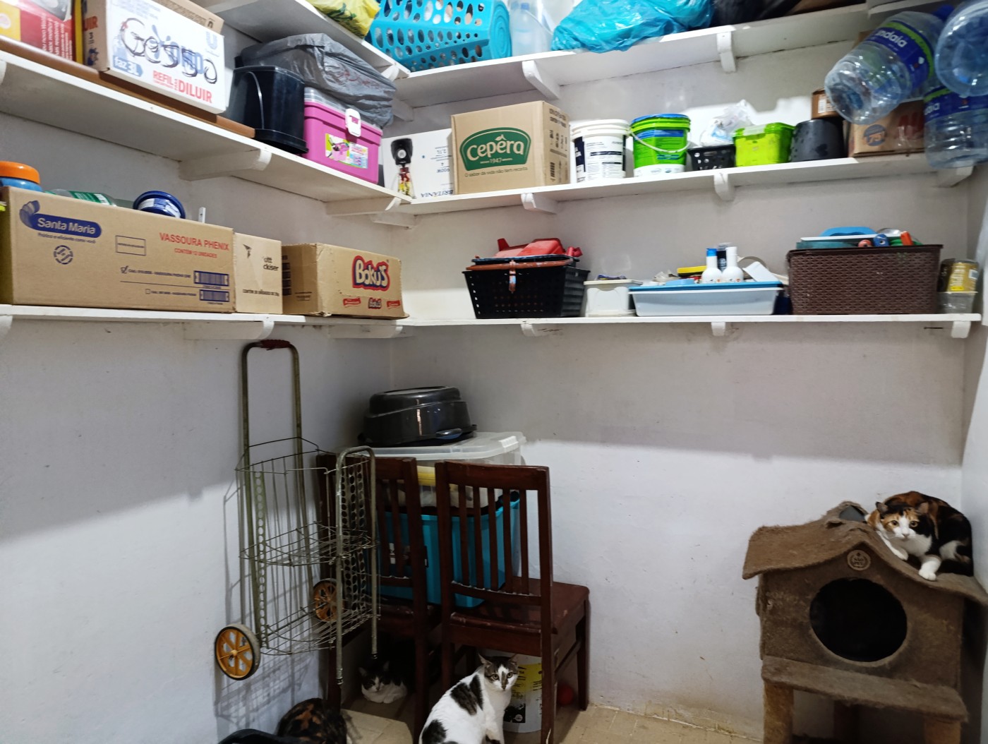 Casa à venda com 2 quartos, 209m² - Foto 19