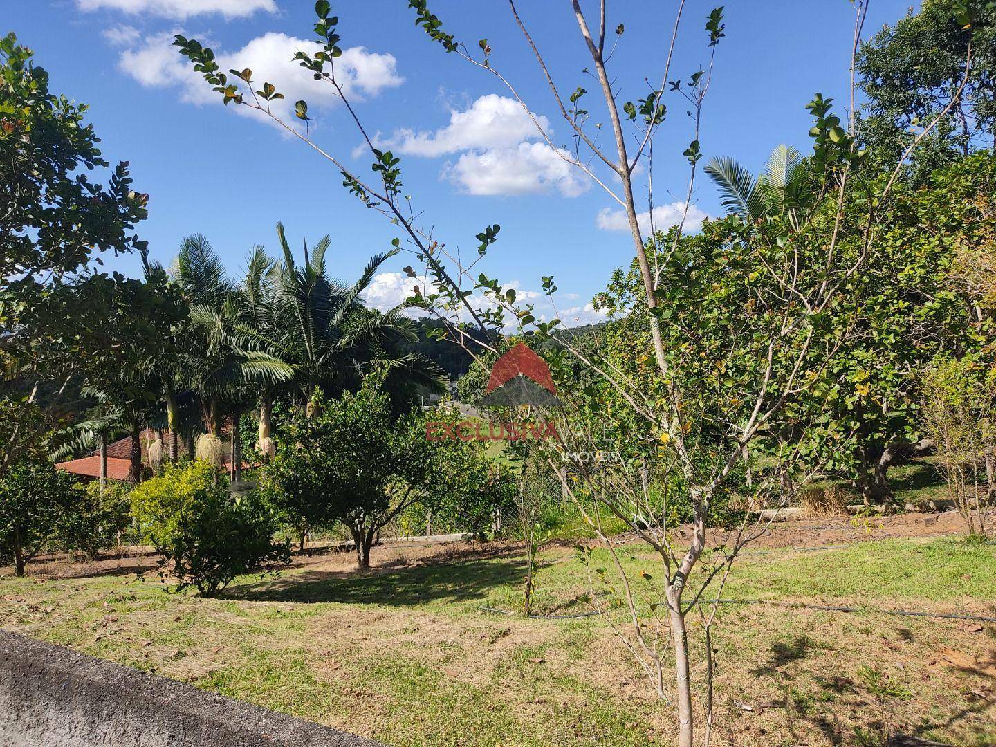 Chácara à venda com 6 quartos, 350m² - Foto 18