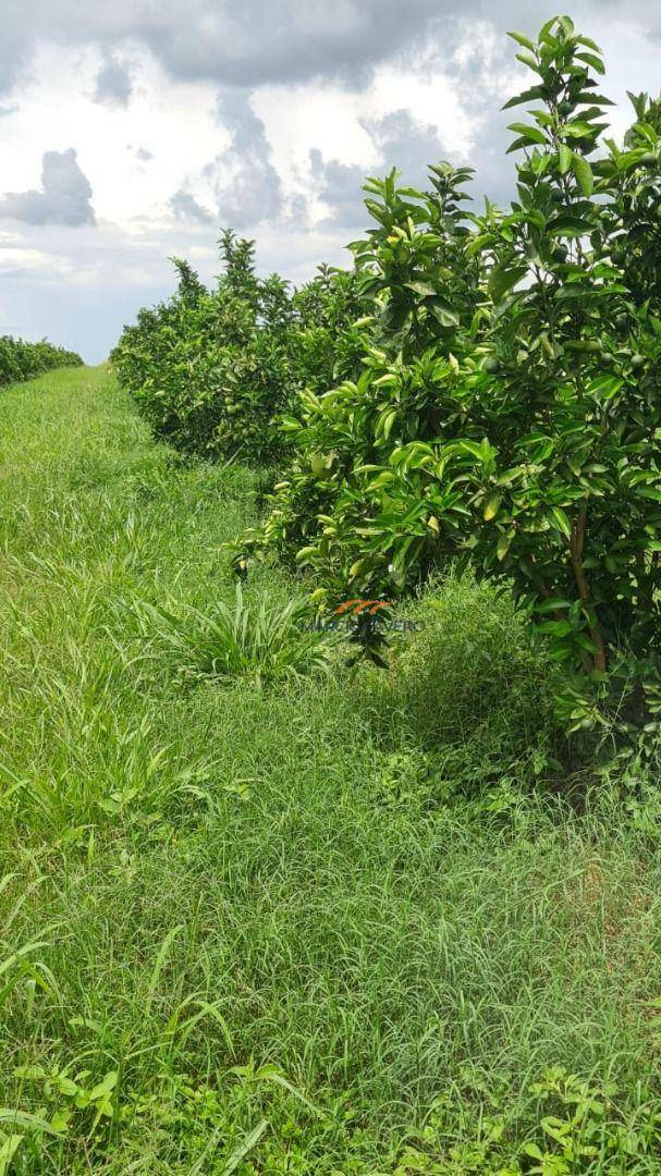 Fazenda à venda, 2250600M2 - Foto 19