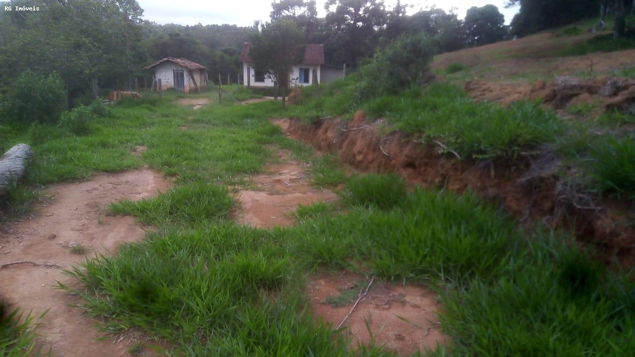 Sítio à venda com 2 quartos, 15000m² - Foto 4