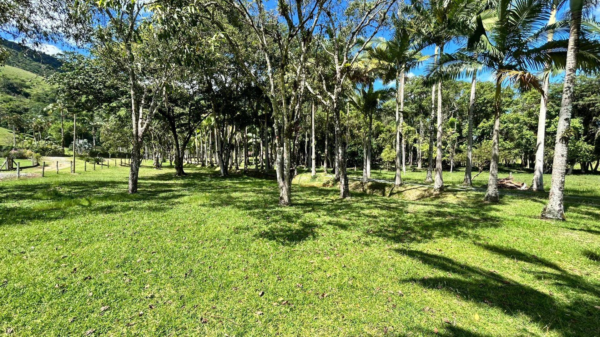 Chácara, 2 hectares - Foto 84