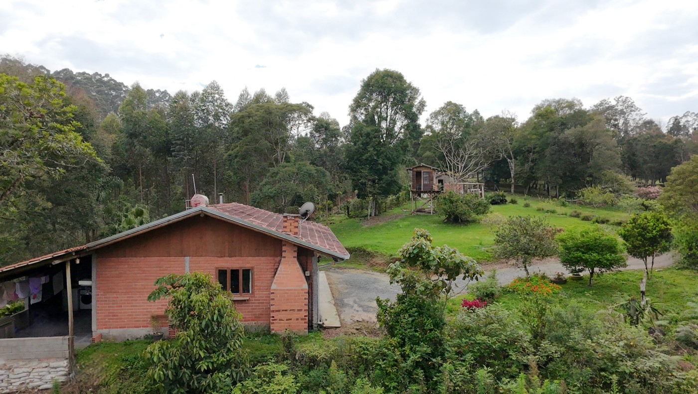 Sítio, 3 quartos, 3 hectares - Foto 1