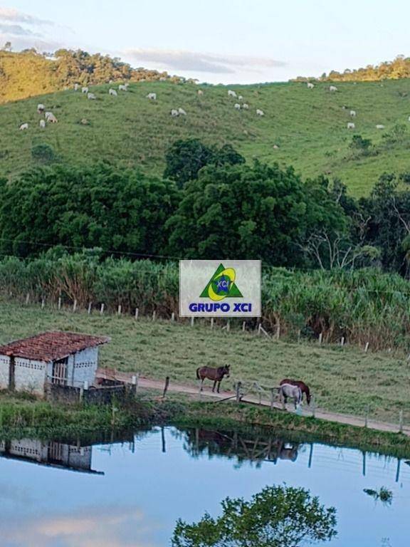 Fazenda à venda, 1060000M2 - Foto 2