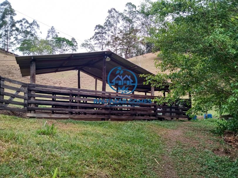 Fazenda à venda com 4 quartos, 7m² - Foto 13