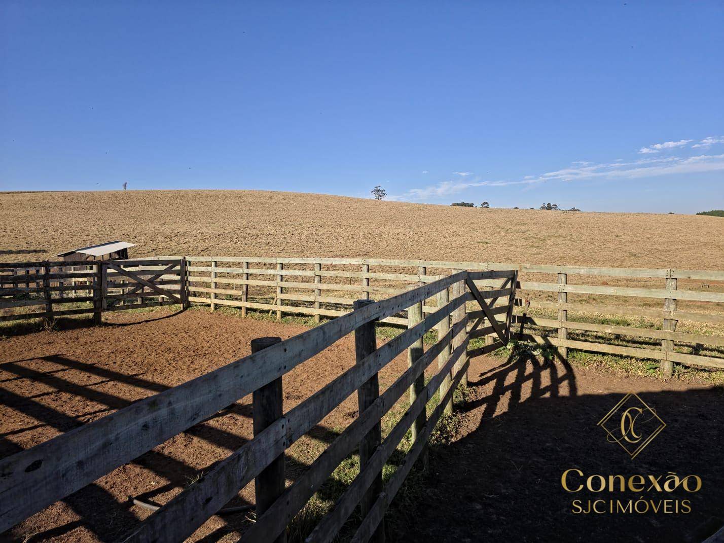 Fazenda, 171 hectares - Foto 5