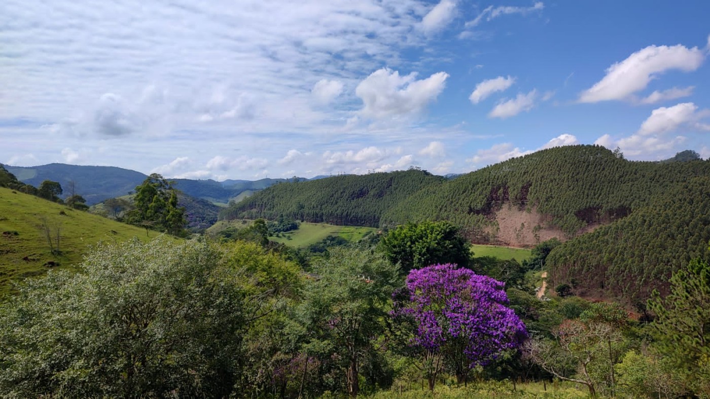 Terreno, 7 hectares - Foto 18