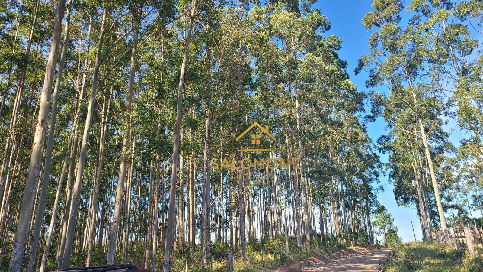 Terreno, 19 hectares - Foto 1