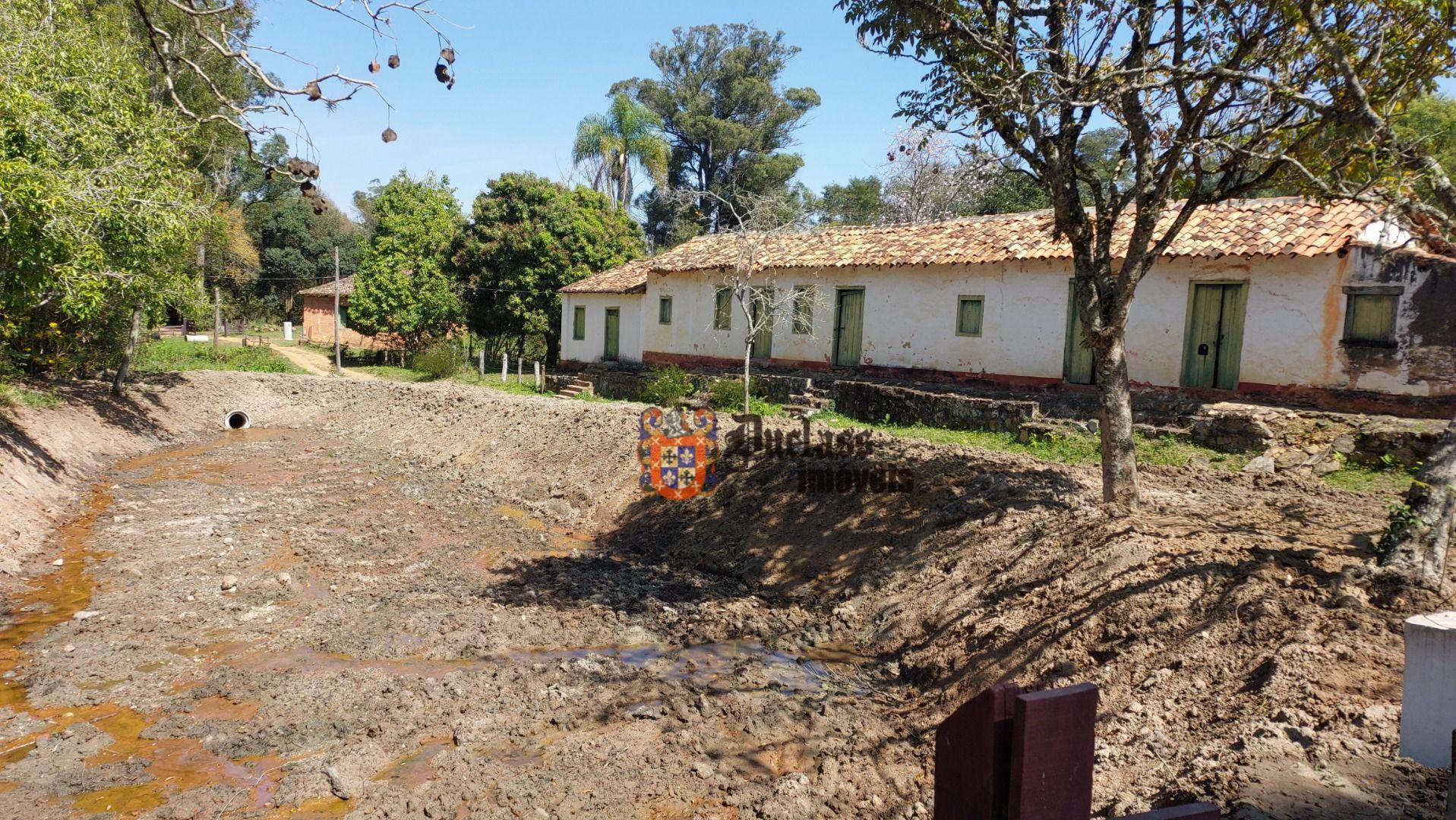 Fazenda à venda com 6 quartos, 500m² - Foto 123