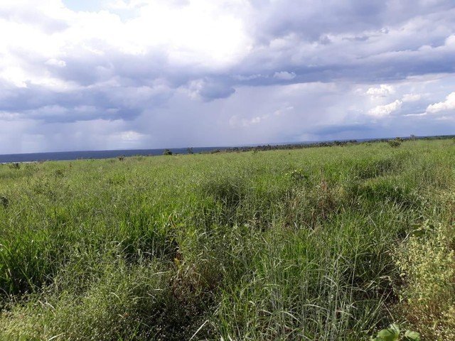 Fazenda à venda, 310000m² - Foto 15