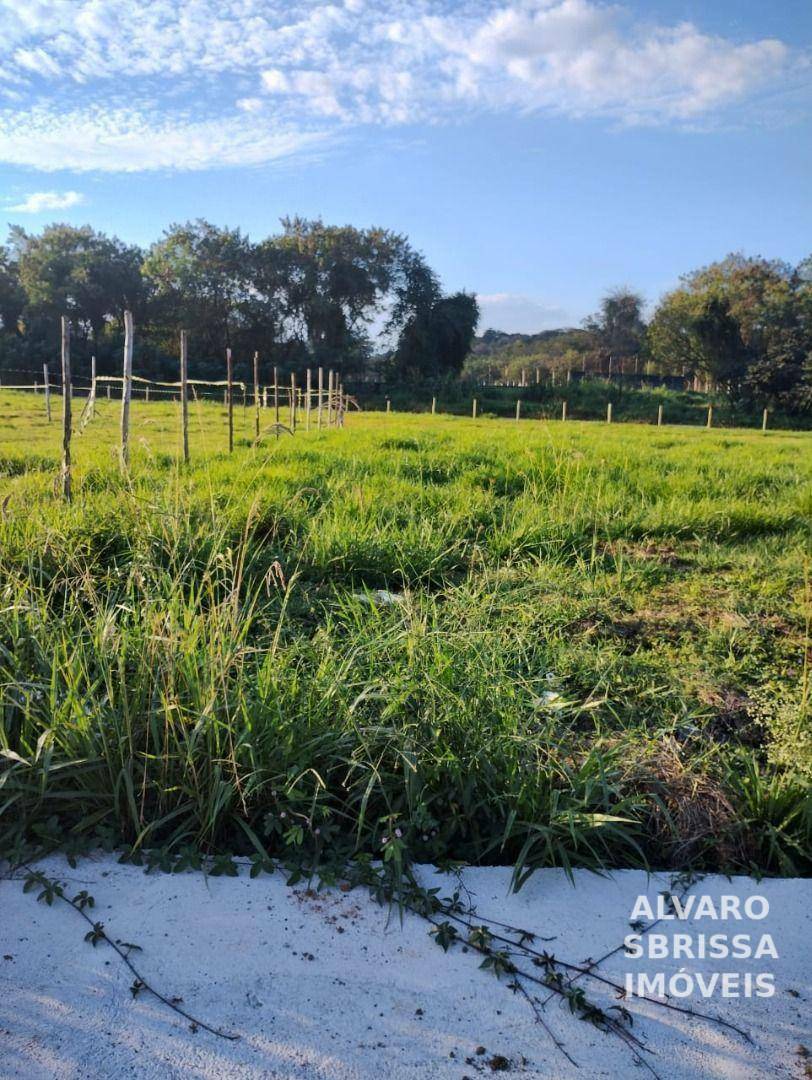 Terreno à venda, 300M2 - Foto 3