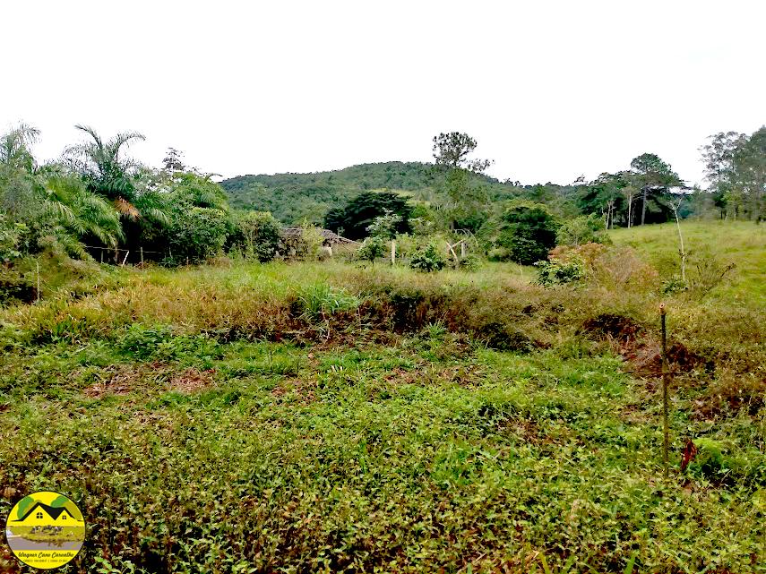 Fazenda à venda com 3 quartos, 30m² - Foto 25