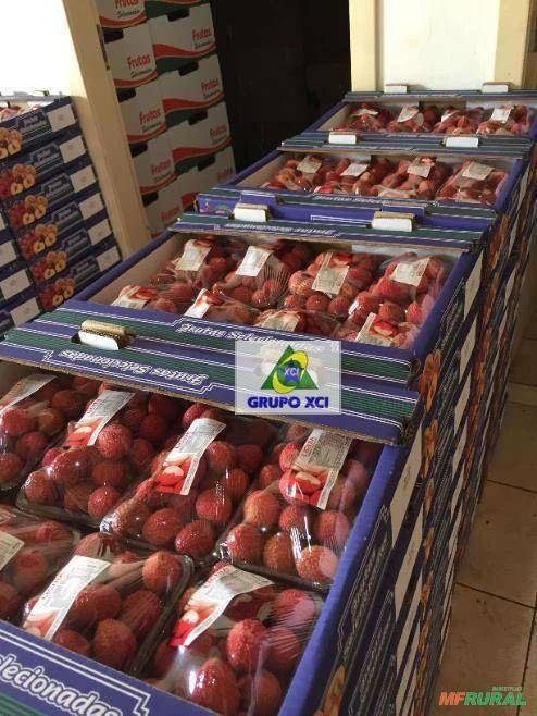 Sítio, 6 quartos, 25 hectares - Foto 22